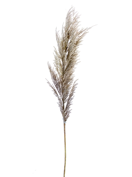 Picture of 43" DRIED WHEAT SPRAY