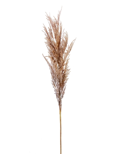 Picture of 43" DRIED WHEAT SPRAY