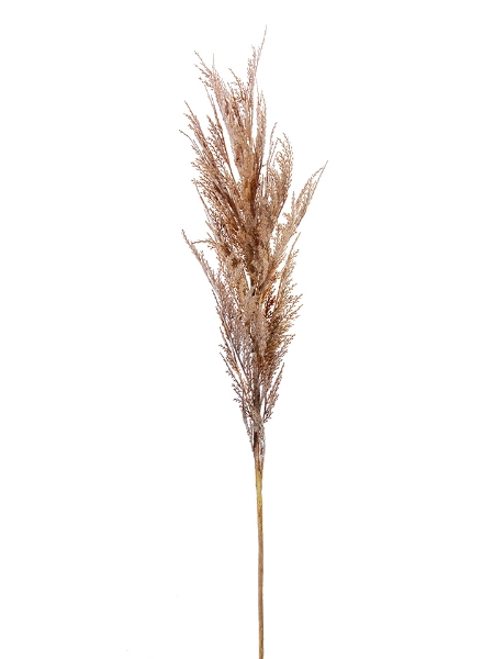 Picture of 43" DRIED WHEAT SPRAY