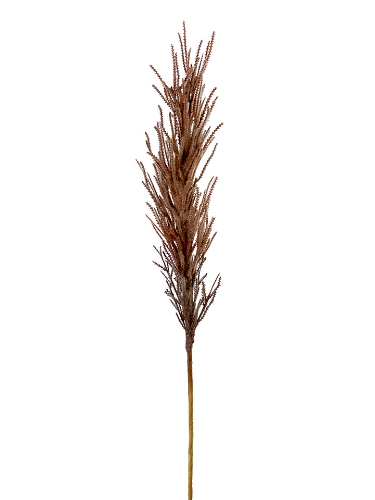 Picture of 32.5" DRIED REED SPRAY