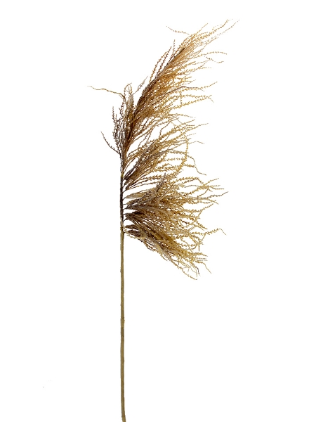 Picture of 50" DRIED PLUME GRASS SPRAY