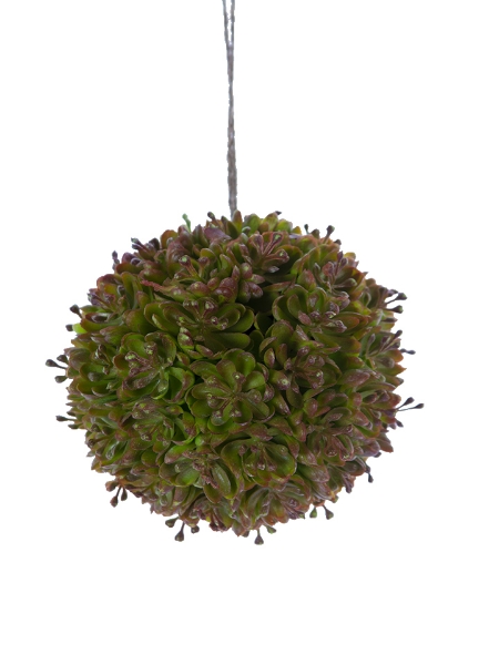 Picture of 4" SUCCULENT BALL