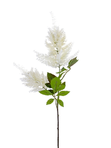 Picture of 33" ASTILBE SPRAY