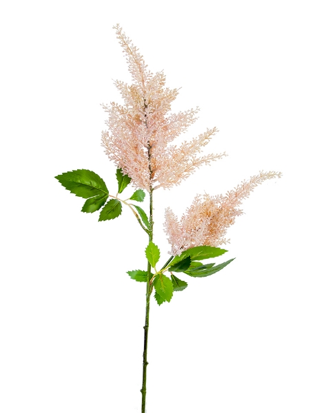 Picture of 33" ASTILBE SPRAY