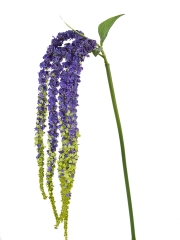 23'' Pussy Willow Bundle: Blue [2150080BL] 