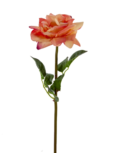 Picture of 26" OPEN ROSE STEM