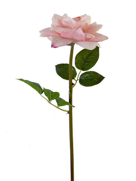 Picture of 26" OPEN ROSE STEM