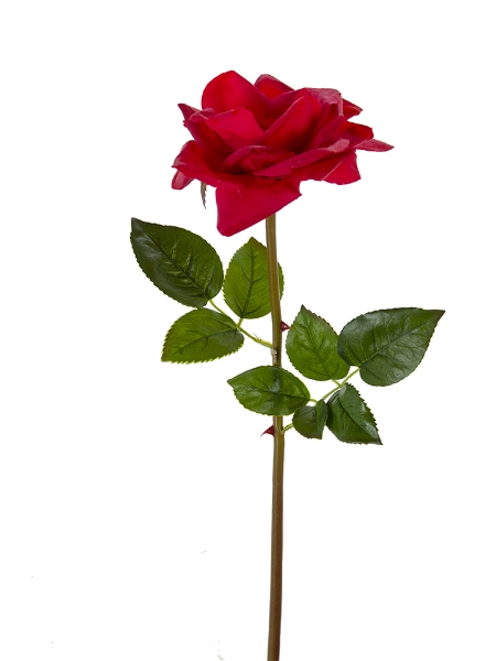 Picture of 26" OPEN ROSE STEM