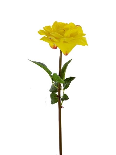 Picture of 26" REAL TOUCH OPEN ROSE STEM