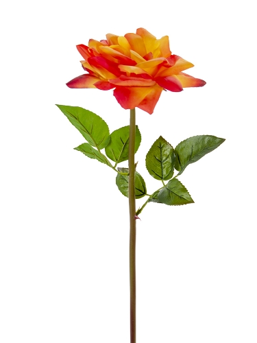 Picture of 26" REAL TOUCH OPEN ROSE STEM