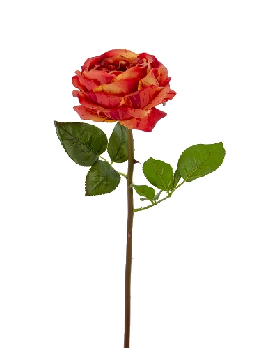 Picture of 25" REAL TOUCH CANDY ROSE