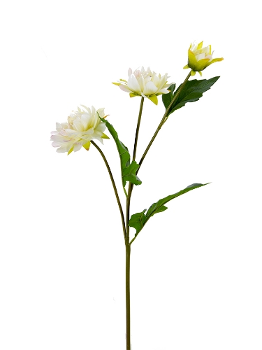 Picture of 23" REAL TOUCH DAHLIA SPRAY