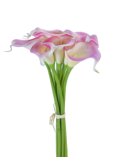 Picture of 14" CALLA LILY BUNDLE