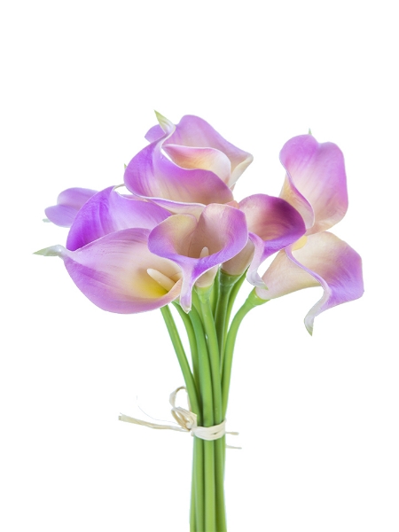 Picture of 14" CALLA LILY BUNDLE