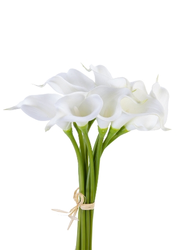 Picture of 14" CALLA LILY BUNDLE