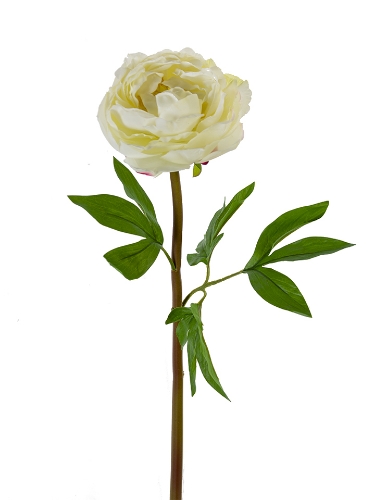 Picture of 26" REAL TOUCH PEONY STEM