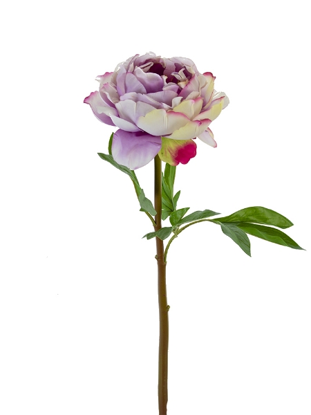 Picture of 26" PEONY STEM