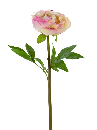 Picture of 26" REAL TOUCH PEONY STEM