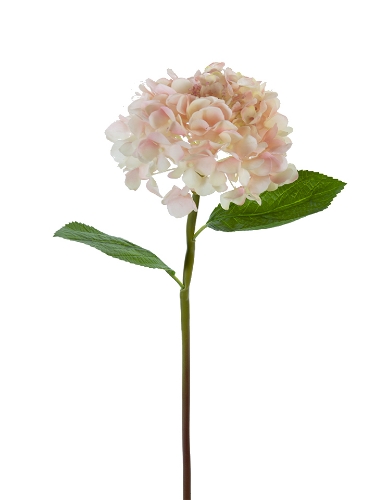 Picture of 21" REAL TOUCH HYDRANGEA