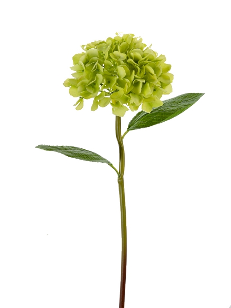 Picture of 21" HYDRANGEA STEM