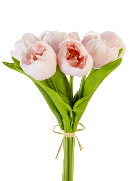 Picture of 13" TULIP BUNDLE X7