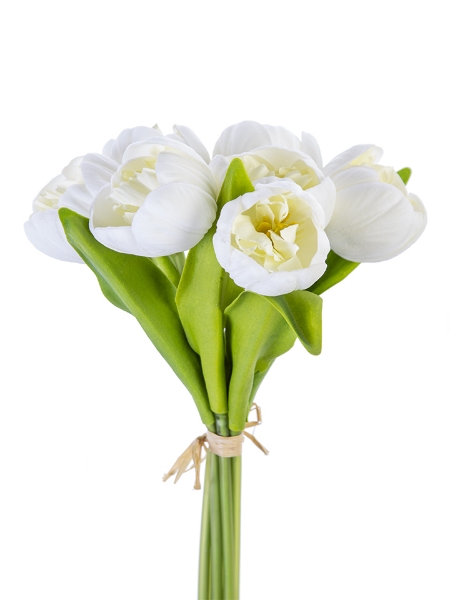 Picture of 13" TULIP BUNDLE X7