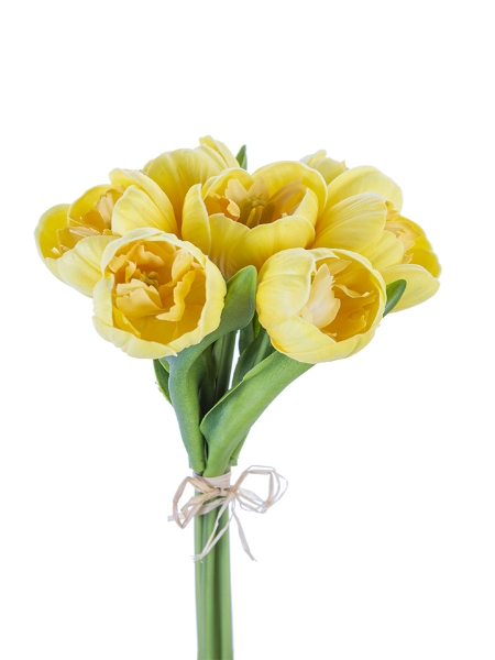 Picture of 13" TULIP BUNDLE X7