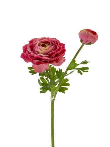 Picture of 22" REAL TOUCH RANUNCULUS