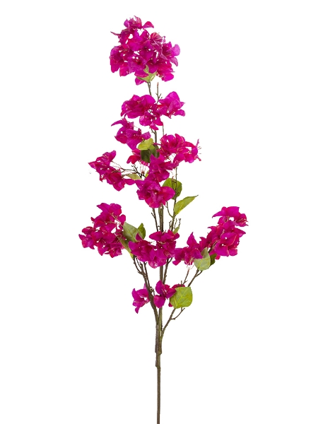 Picture of 54" BOUGAINVILLEA SPRAY