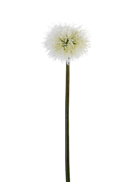 Picture of 32" DANDELION SPRAY