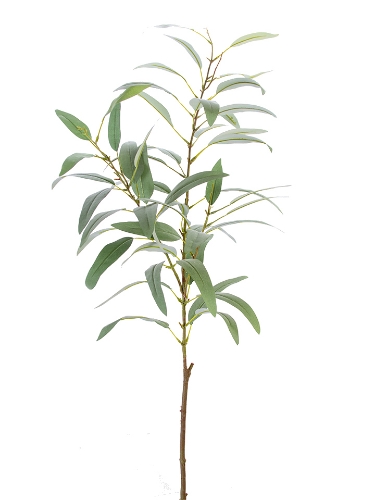 Picture of 46.5" EUCALYPTUS SPRAY