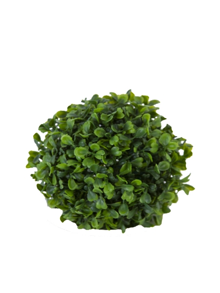 Picture of 6"BOXWOOD BALL