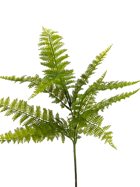 Picture of 27"DRYOPTERIS FERN SPRAY