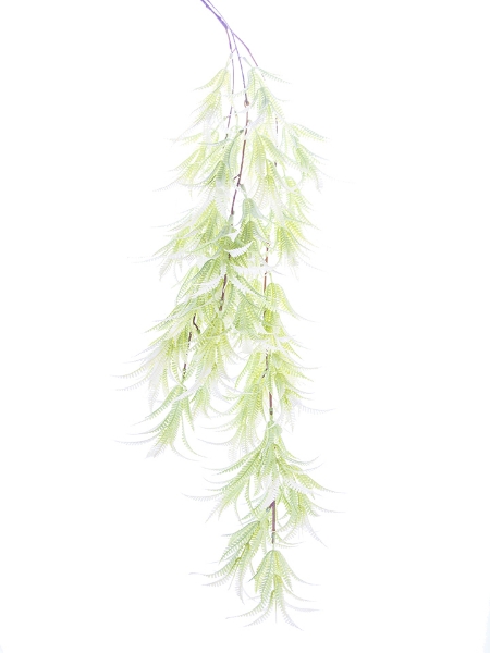 Picture of 41" HANGING BOSTON FERN