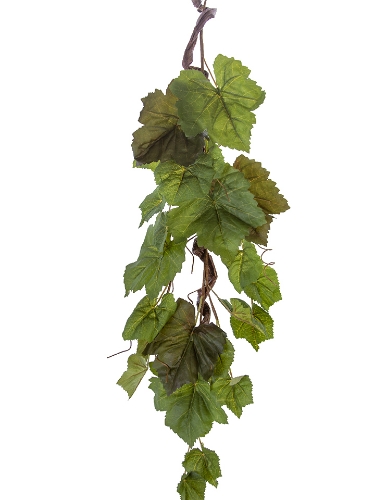 Picture of 33" GRAPE LEAF VINE