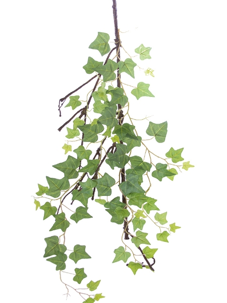 Picture of 37" ENGLISH IVY VINE