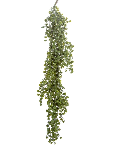 Picture of 36" BUTTON LEAVES VINE