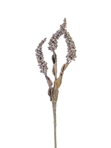 Picture of 19" DRIED SEED STEMS X3