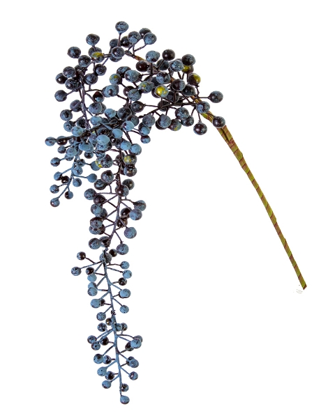 Picture of 25.5" HANGING BERRY SPRAY