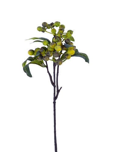 Picture of 14" BERRY PICK