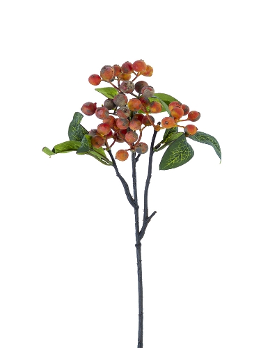 Picture of 14" BERRY PICK