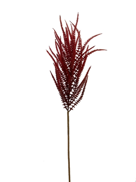 Picture of UPRIGHT AMARANTHUS