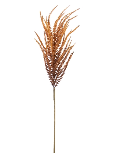 Picture of 44" UPRIGHT AMARANTHUS