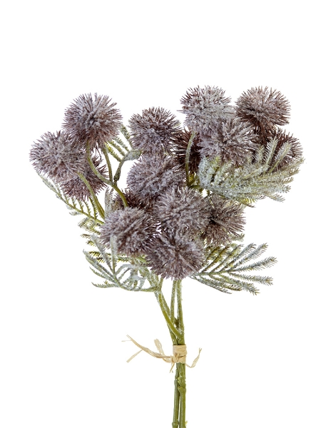 Picture of 12" GLOBE THISTLE