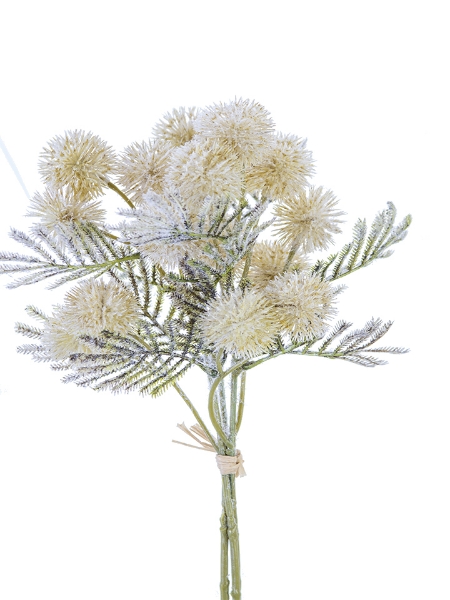 Picture of 12" GLOBE THISTLE