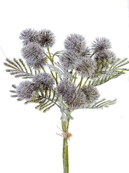 Picture of 12" GLOBE THISTLE