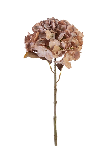 Picture of 25" DRIED HYDRANGEA SPRAY