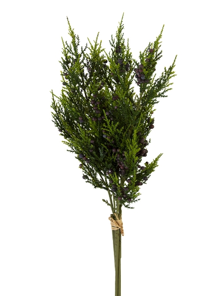 Picture of 26" CEDAR SPRAY W/BLUEBERRIES