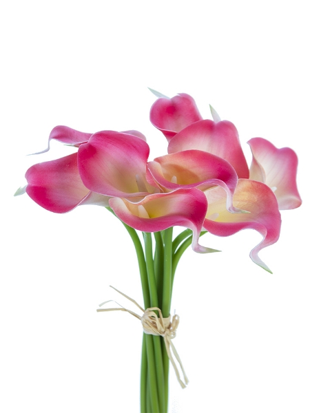 Picture of 14" CALLA LILY BUNDLE