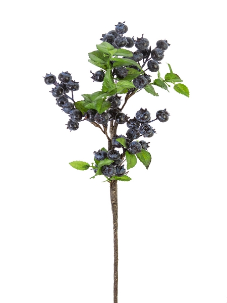 Picture of 20" BLUEBERRY SPRAY